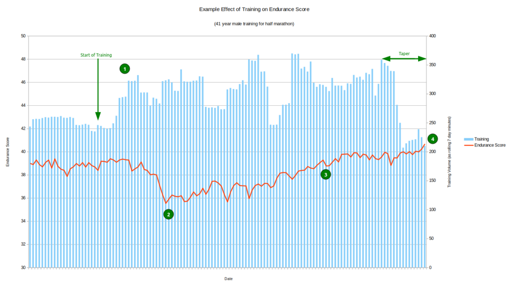 Example of the effect of training for a half marathon on Endurance Score for a 41 year old male.